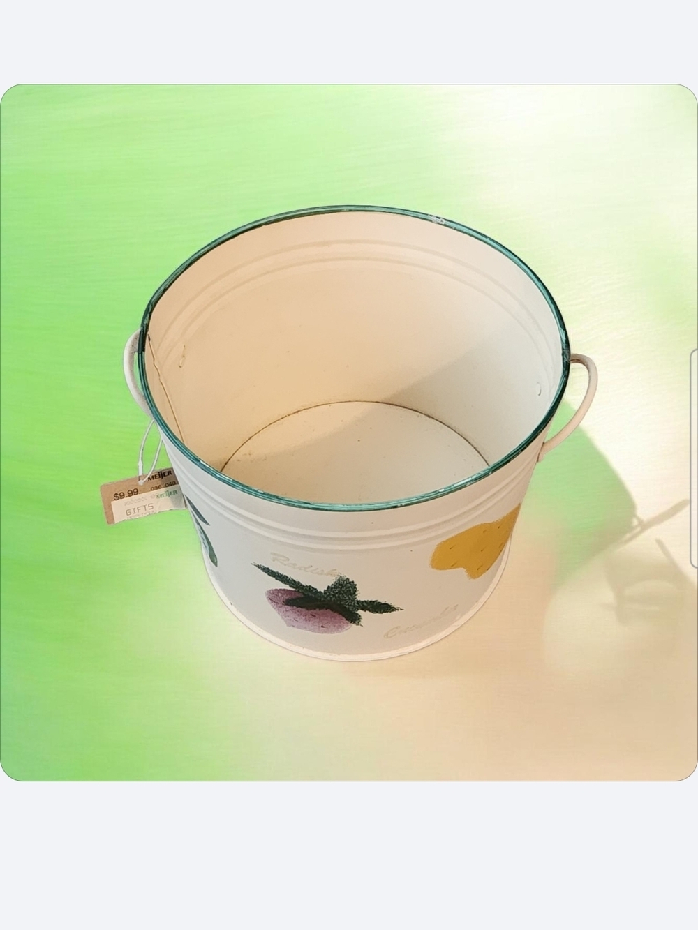 Cream Fruit-Printed Metal Planter with Green Rim● Read Below